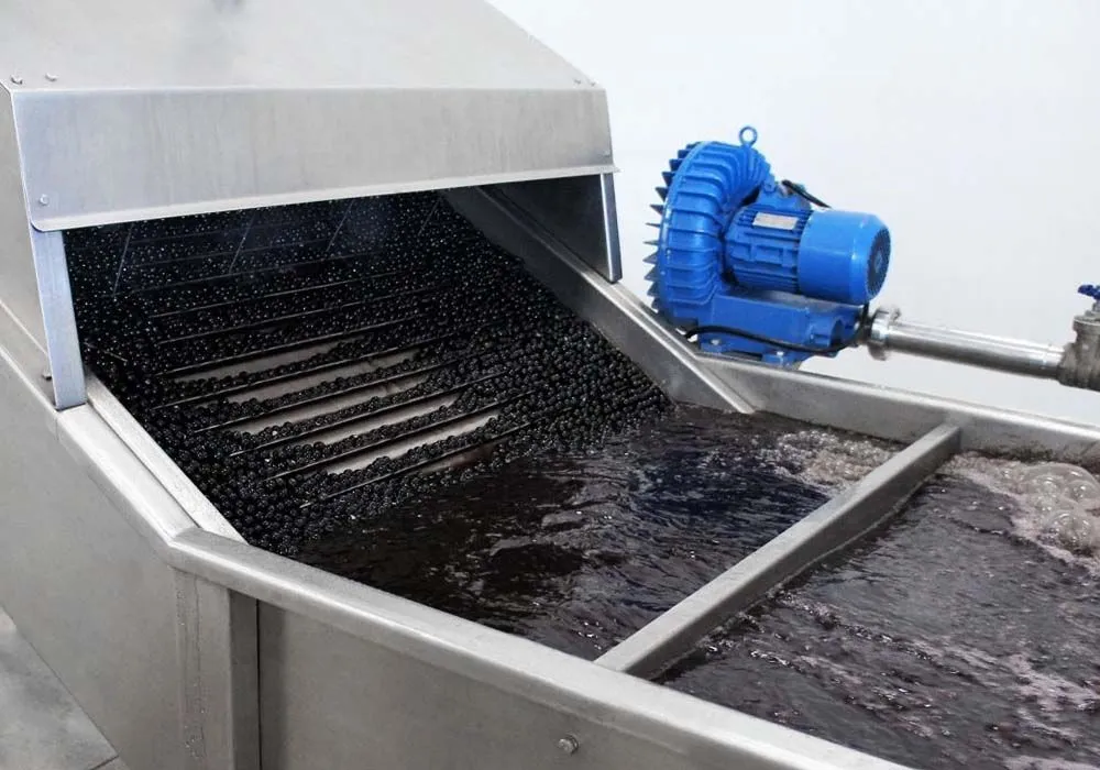 Industrial açaí processing and packaging line